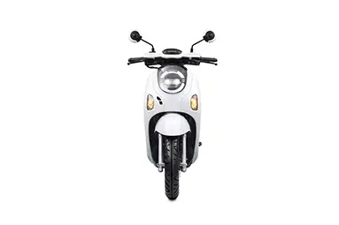 Honda Scoopy Fashion