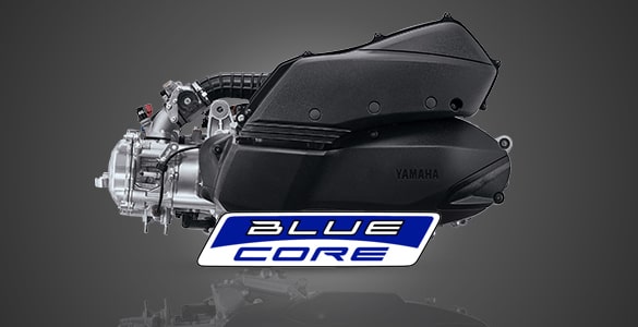 Powerful 250cc Blue Core Engine